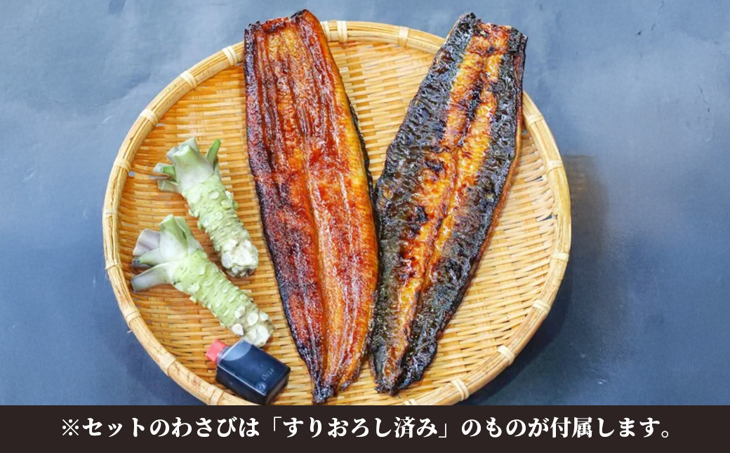 山葵うなぎ　蒲焼２尾セット（わさび・タレ付き）| わさび うなぎ ウナギ 鰻 蒲焼 でしこ ブランド 浜名湖 高級 湧き水 静岡 伊豆