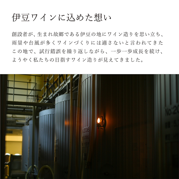 【日本ワインコンクール2025 銅賞】伊豆シャルドネ-プレミアム-2023（化粧箱入り）1本 750ml | ワイン 白ワイン Wine わいん ギフト 贈答 静岡 伊豆 | 023-005