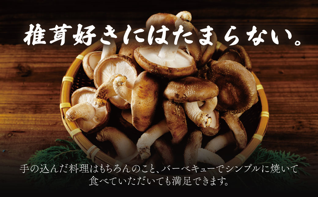 無農薬 無肥料 伊豆産 原木栽培の生・乾しいたけセット （生しいたけ 1kg・乾しいたけ 清助どんこ 250g）　【椎茸 キノコ 肉厚 シイタケ 乾燥 】　020-009