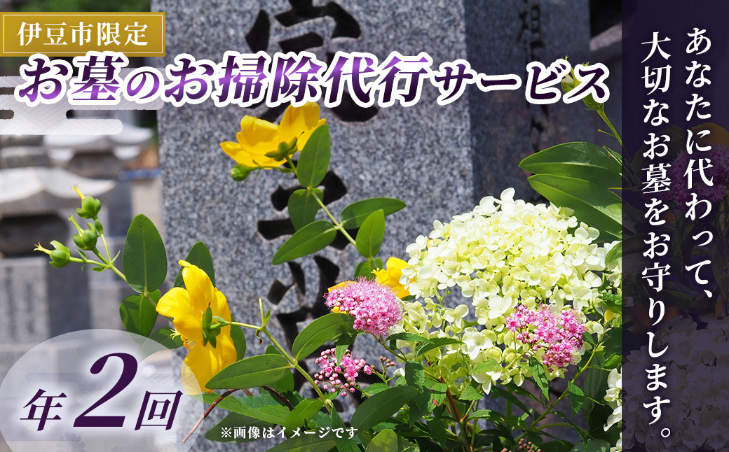 （伊豆市限定）お墓のお掃除代行サービス 年2回 【お彼岸 お盆 掃除 お参り 献花 伊豆 静岡県】034-005
