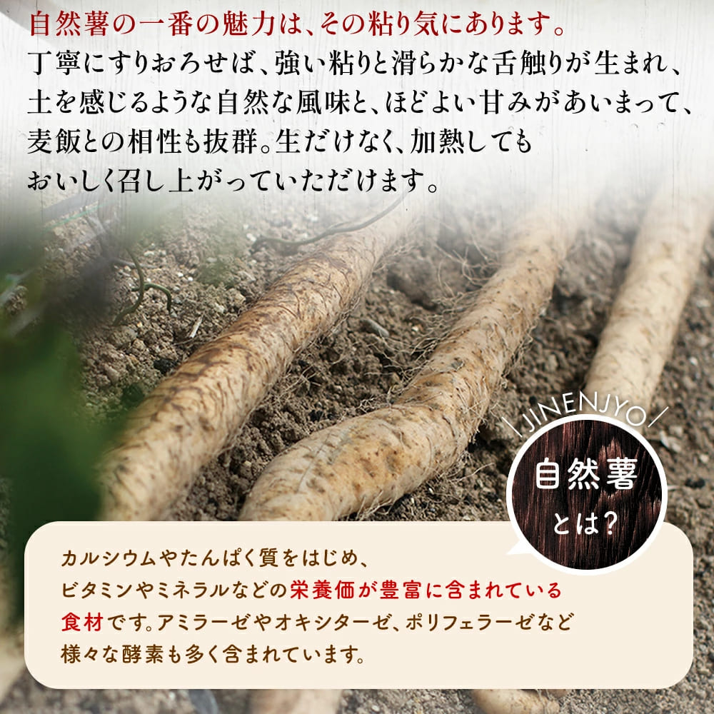 ãšãã å³ä»ã ãšããæ± 285g à 2å ãã㯠ãã¥ãŒã ã»ãã ãšãã å±±è ã€ãã€ã¢ å±±ãã ããããã æ»é€åŒ·å£® èªç¶è¯ ãã¯ã 挬ã䞌 çœç±³ å·å ãåãå¯ã ã®ãã ã°ã«ã¡ èŽç äººæ° é岡ç ç§ä¹ååž å°ŸçœåŒåœ