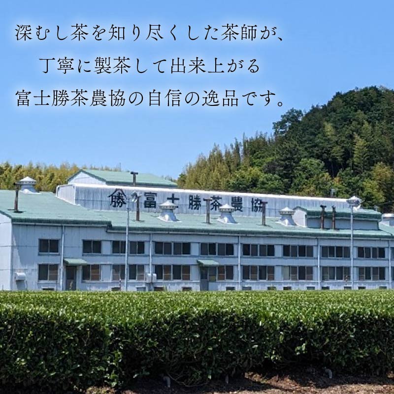 水出し 煎茶 ティーバッグ 125個  富士勝茶農業協同組合 静岡県 牧之原市