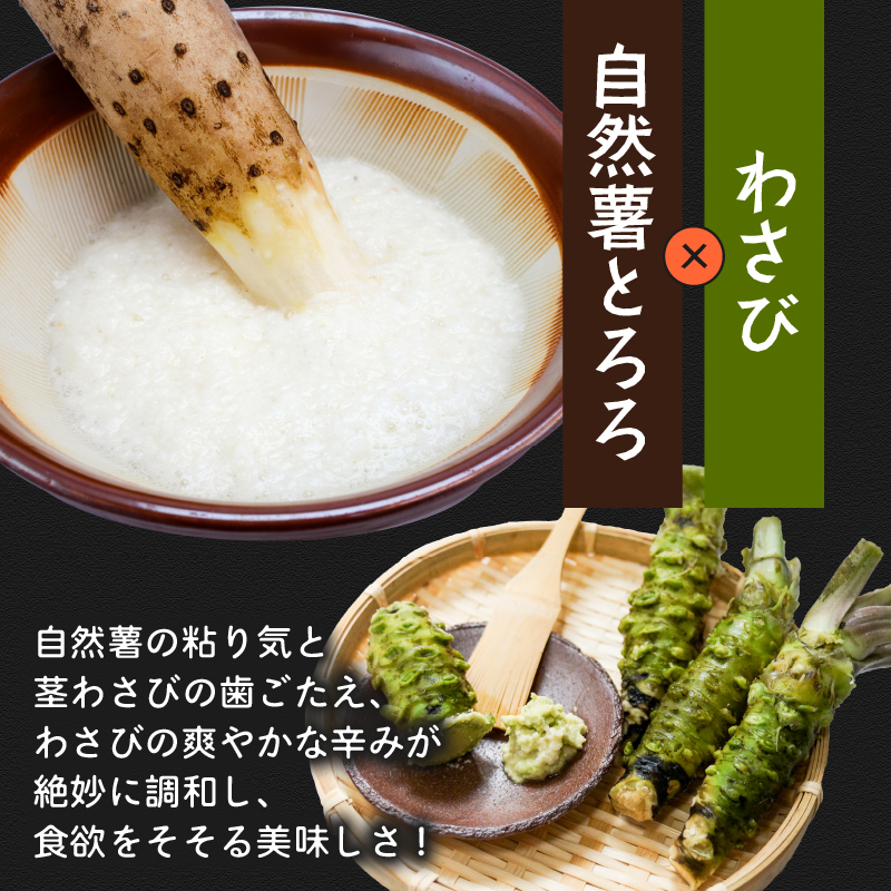 【ZIP!の「水卜あさみと一緒に朝ごはん」で紹介されました!】 とろろ 食べ比べ グルメセット 100g × 6種 計600g 山芋 自然薯 じねんじょ ご飯 健康 栄養 夏バテ 個包装 小分け お取り寄せ ギフト グルメ 贈答 プレゼント 人気 国産 安心 尾白とろろ おじろとろろ 静岡自然薯 静岡じねんじょ 牧之原とろろ 送料無料 美容 米 ごはん お米 静岡県 牧之原市 尾白弁当