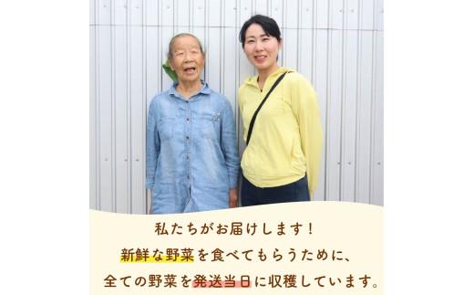 【先行予約 2027年3月順次発送 国産 じゃがいも】掘りたてメークイン 4kg  新じゃが  丸新柴本製茶 静岡 県 牧之原市