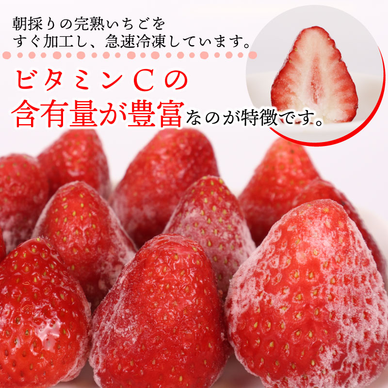 冷凍 いちご 苺 3kg以上 完熟 おいCベリー ヘタ取り いちご 静岡 限定 苺 冷凍いちご 果物 スイーツ いちご 牧之原市 デザート フルーツ スイーツ アイス ジャム シャーベット ベリー 氷菓 冷凍 甘い オススメ ギフト 人気 牧之原市 森木農園