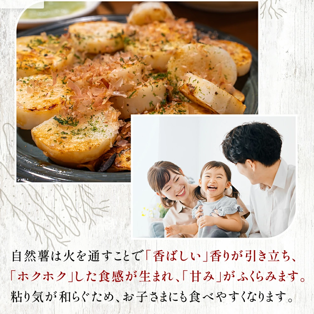 【7日以内発送】とろろ 天然 100％ 自然薯 100 g × 8 パック 擦り下ろし 擦りおろし 晩御飯 お弁当 昼 夜 朝 ランチ おいしい 牛丼 じねんじょ 滋養強壮 お取り寄せ ギフト グルメ 贈答 人気 イチオシ おすすめ 高級 父の日 母の日 御歳暮 お中元 送料無料 スピード発送 腸活 アスリート飯 お正月 夕飯 おつまみ 静岡県 牧之原市 尾白弁当