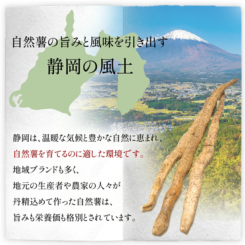 【7日以内発送】とろろ 天然 100％ 自然薯 100 g × 8 パック 擦り下ろし 擦りおろし 晩御飯 お弁当 昼 夜 朝 ランチ おいしい 牛丼 じねんじょ 滋養強壮 お取り寄せ ギフト グルメ 贈答 人気 イチオシ おすすめ 高級 父の日 母の日 御歳暮 お中元 送料無料 スピード発送 腸活 アスリート飯 お正月 夕飯 おつまみ 静岡県 牧之原市 尾白弁当