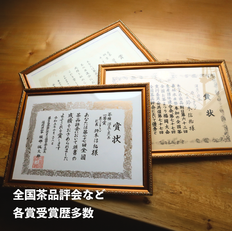 ã2026å¹ŽåºŠç£æ°è¶ãæ·±èžãç
è¶ 100 g à 4è¢ ã®ã¿ãŸç
ã ã»ã£ããè¶ æ·±èžã è¶ ãè¶ è¶è ç£å°çŽé åœç£ é岡ç ç§ä¹ååž ãã£ãã