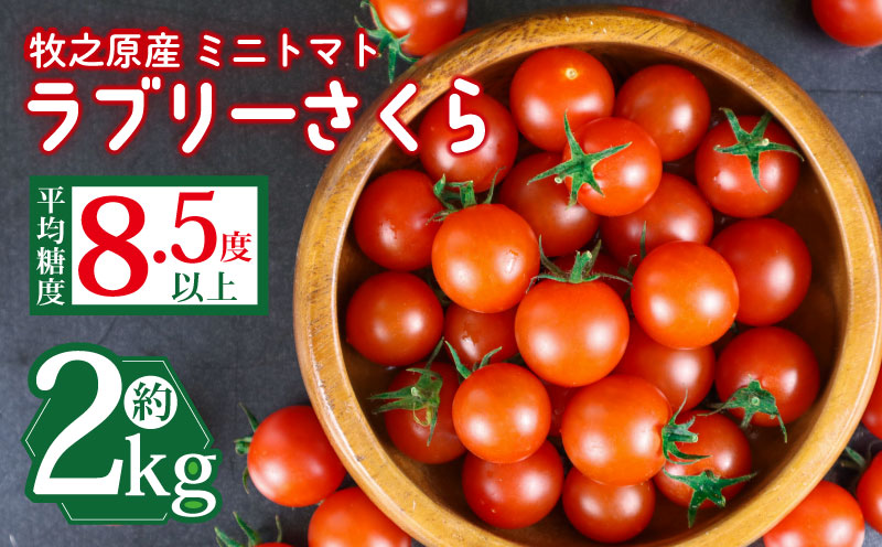 【先行予約】ミニ トマト フルーツ トマト ラブリーさくらとまと うまたま 2kg 1kg × 2箱  トマト みにとまと 甘み 夏 新鮮 野菜 完熟 サラダ パスタ トマトソース トマトスープ トマトジュース おやつ  贈答 プレゼント お歳暮 国産 安心 農家直送 産地直送 静岡トマト 静岡とまと 静岡みにとまと 予約 受付 やさい 国産 野菜 フルーツ 甘い 静岡県 牧之原市 山本農園