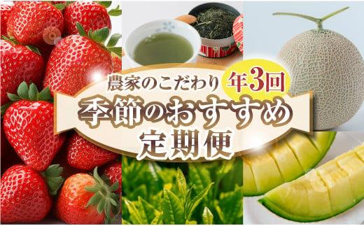 060-1000 【 定期便 3回 】 フルーツ 定期便 いちご メロン お茶 国産 イチゴ 果物 苺 ギフト 完熟 贈答 産地直送 くだもの スイーツ デザート 森木農園 静岡県 牧之原市