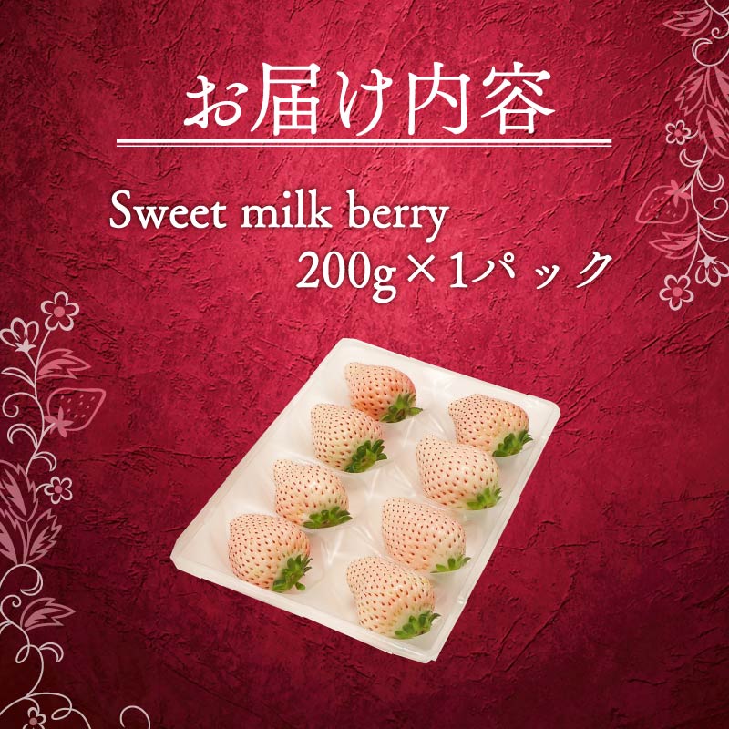 いちご 白いちご 計 200g 計 1 パック 高級 白 イチゴ 苺 セット Sweet milk berry 1 パック 200g × 1 パック フルーツ 果物 ストロベリー 産地直送 国産 スイーツ デザート くだもの イチゴ 果物 贈答用 ギフト 畠農宝 静岡県 牧之原市