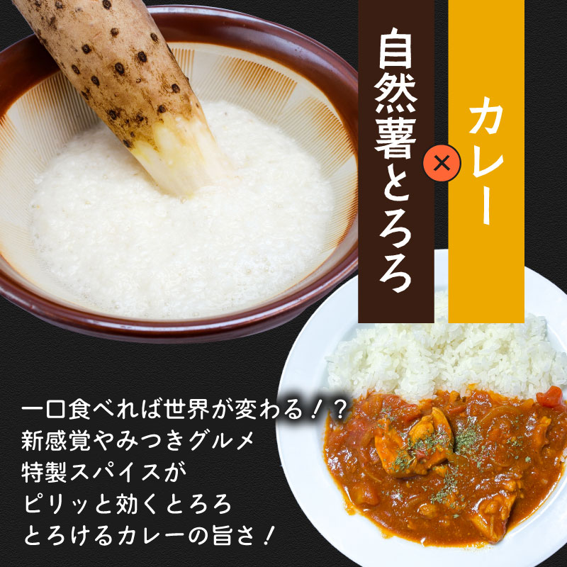 【ZIP!の「水卜あさみと一緒に朝ごはん」で紹介されました!】 とろろ 食べ比べ グルメセット 100g × 6種 計600g 山芋 自然薯 じねんじょ ご飯 健康 栄養 夏バテ 個包装 小分け お取り寄せ ギフト グルメ 贈答 プレゼント 人気 国産 安心 尾白とろろ おじろとろろ 静岡自然薯 静岡じねんじょ 牧之原とろろ 送料無料 美容 米 ごはん お米 静岡県 牧之原市 尾白弁当
