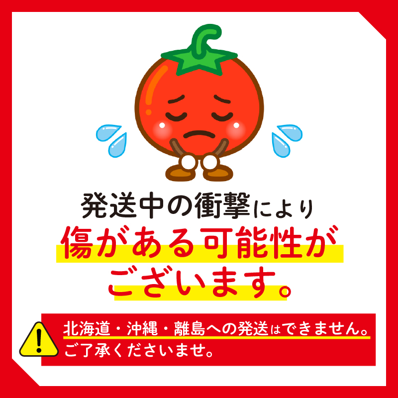 【先行予約】ミニ トマト フルーツ トマト ラブリーさくら うまたま 予約 受付 500g × 3回 発送 計 1.5kg 国産 野菜 フルーツ 甘い 静岡県 牧之原市 山本農園