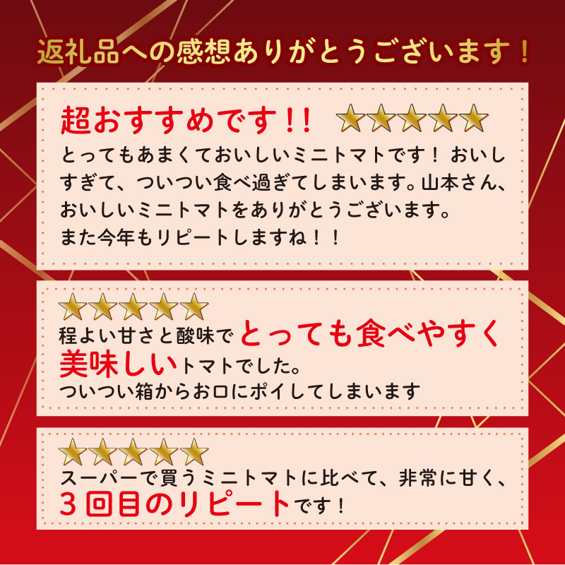 【先行予約】ミニ トマト フルーツ トマト ラブリーさくら うまたま 予約 受付 1kg × 7回 発送 計 7kg 国産 野菜 フルーツ 甘い 静岡県 牧之原市 山本農園