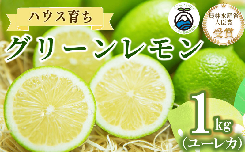 [農林水産大臣賞 先行予約 国産 レモン]選べる 内容量 グリーンレモン 1kg れもん 酸味 甘み 防腐剤不使用 産地直送 大関農園 静岡県 牧之原市