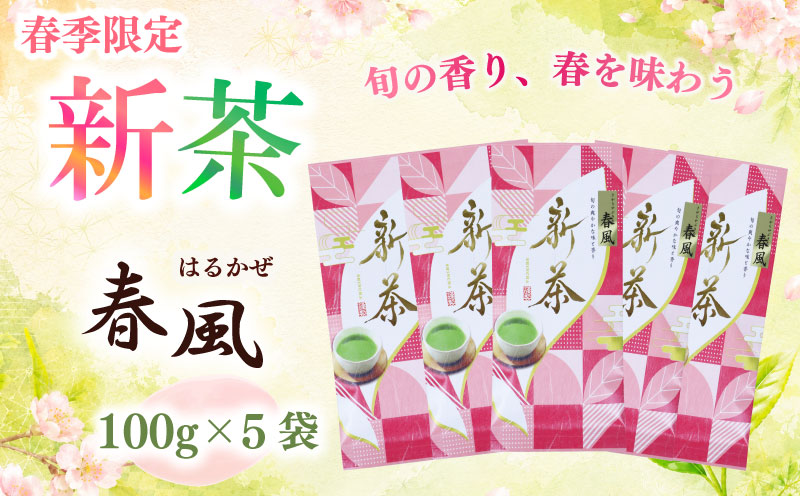 2026年度産 新茶  春風100g×5袋 お茶 静岡 新茶 濃旨 緑茶 深蒸し茶 深蒸し 茶 水出し緑茶 水出し 静岡茶 日本茶 飲料 飲み物 ドリンク 深むし茶 煎茶 セット お茶 茶 深蒸し 煎茶 旬 日常 牧之原産 甘い コク 便利 簡単 お手軽 茶葉 静岡茶 牧之原茶 プレゼント 贈答 贈答品 贈り物 産地直送 国産 日本 人気 静岡 県 牧之原市 相良物産