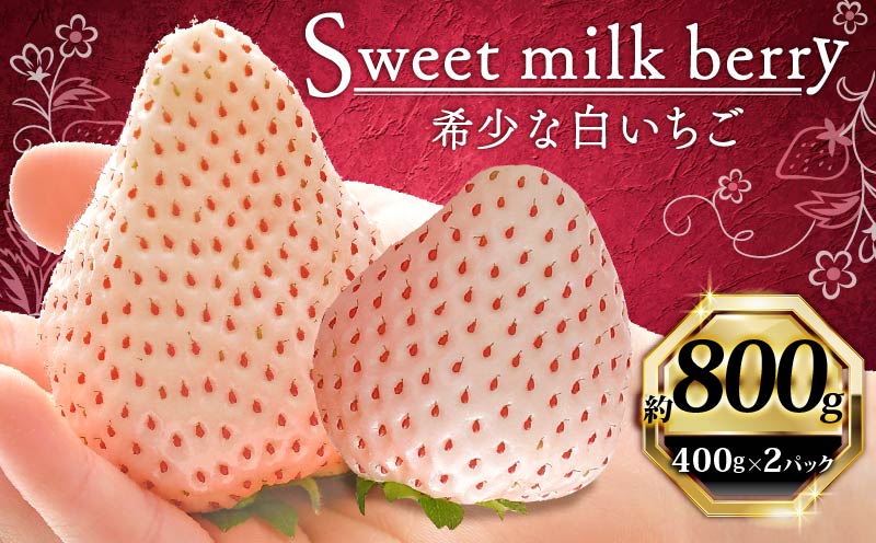 いちご 白いちご 計 800g 計 2 パック 高級 白 イチゴ 苺 セット Sweet milk berry 2 パック 400g × 2 パック フルーツ 果物 ストロベリー 産地直送 国産 スイーツ デザート くだもの イチゴ 果物 贈答用 ギフト 畠農宝 静岡県 牧之原市