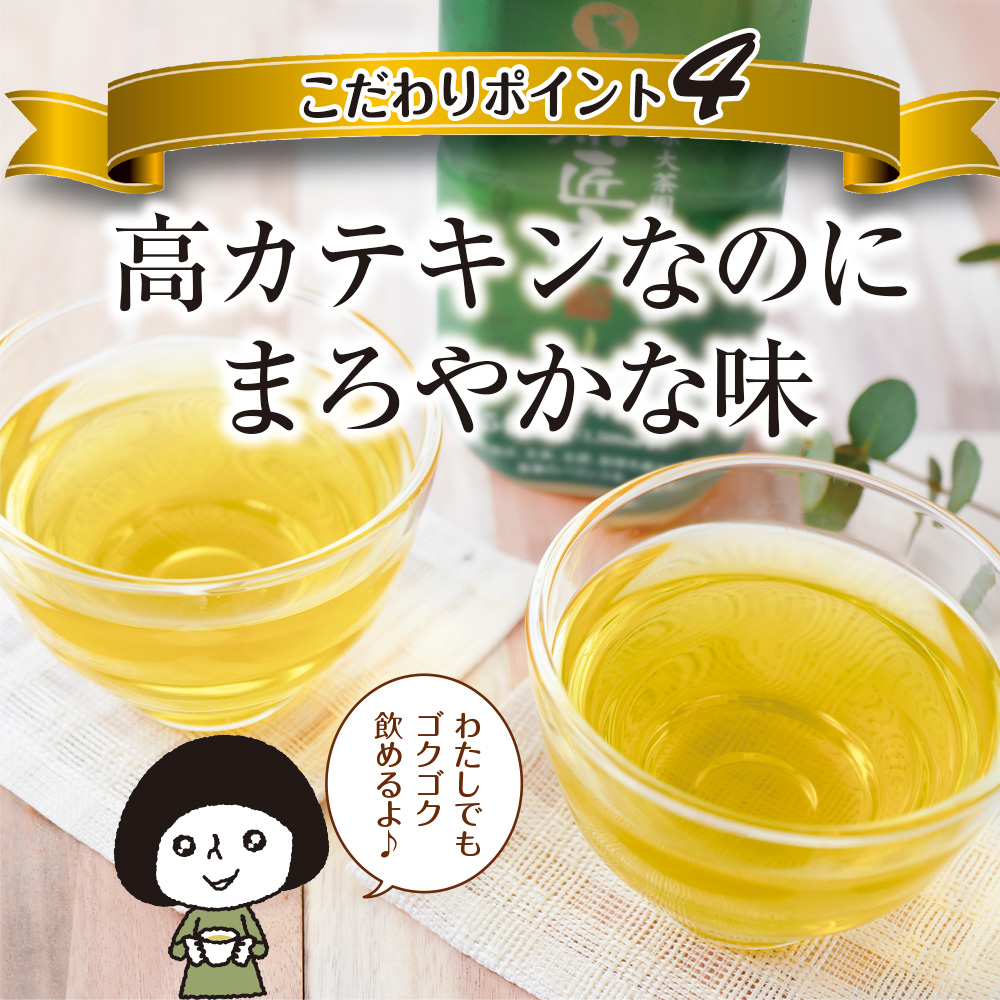 【 機能性表示食品 】 茶匠庵 緑茶ペットボトル 500ml×48本 日付指定不可 静岡県 牧之原市 いなば園