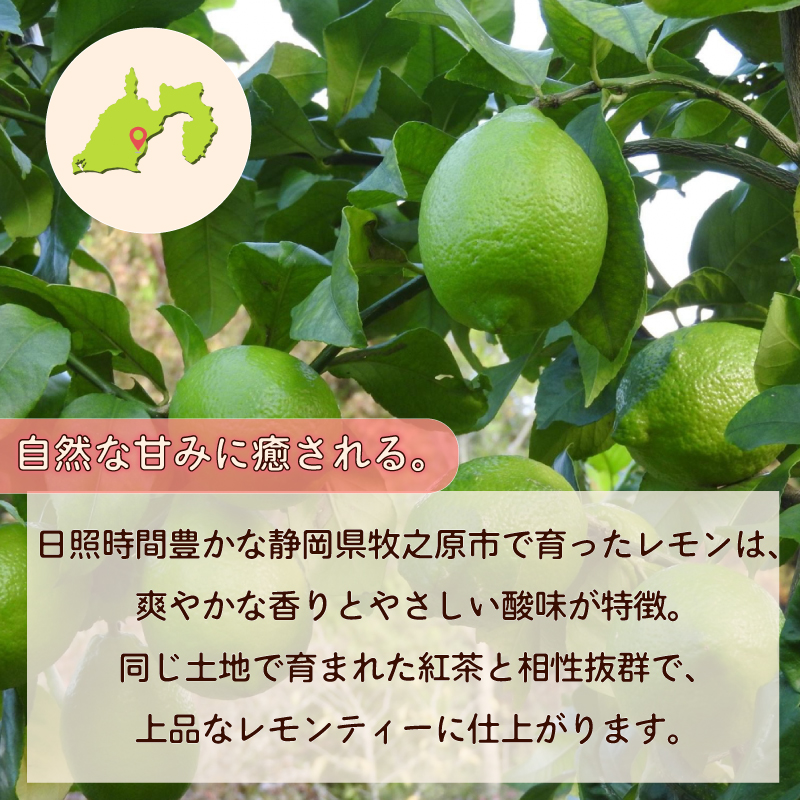 紅茶 レモンティー ティーバッグ  3袋 ティーパック お手軽 簡単 便利 急須不要 国産 美味しい 茶 お茶 おちゃ 贈答 ギフト プレゼント ティータイム お土産 リラックス ティー 家庭用 自宅用 贈答用 国産紅茶 贈答品 茶葉 静岡茶 飲料 飲料類 日用品 国産茶 和風 美味しい おいしい おすすめ オススメ 日用品 お茶類 こうちゃ  相良物産株式会社 静岡県 牧之原市