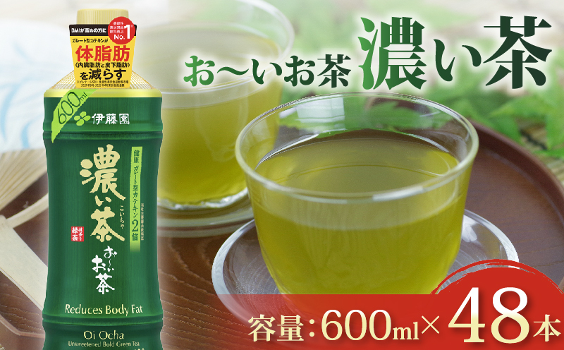 131-41 おーいお茶 濃い茶 計48本 600mL × 24本 2ケース お届け 防災備蓄 茶 ペットボトル 飲料 緑茶 機能性表示食品 伊藤園