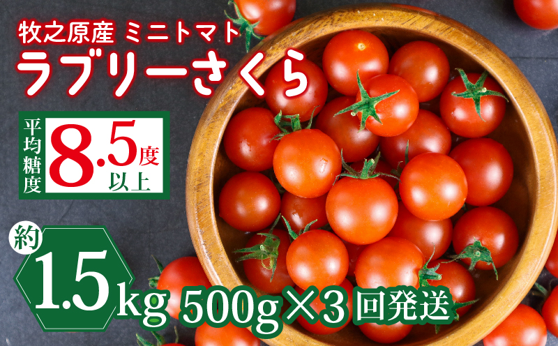 【先行予約】ミニ トマト フルーツ トマト ラブリーさくら うまたま 予約 受付 500g × 3回 発送 計 1.5kg 国産 野菜 フルーツ 甘い 静岡県 牧之原市 山本農園