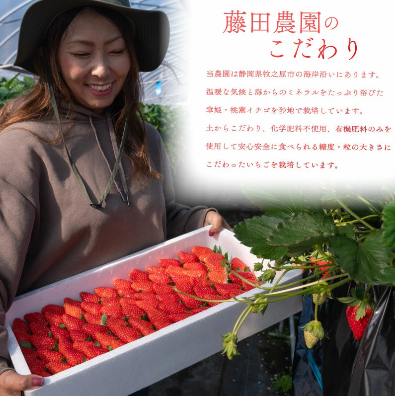 å·åãã¡ã ç« å§« åœç£ å·å ãã¡ã 2kg ãã«ãŒã ã¹ã€ãŒã ãã¶ãŒã ãã ãã® æç© ã¹ããããªãŒ çã ãããã å€§ç² æ¿å å·åãã¡ã ããæ°· é岡ç ç§ä¹ååž è€ç°èŸ²å