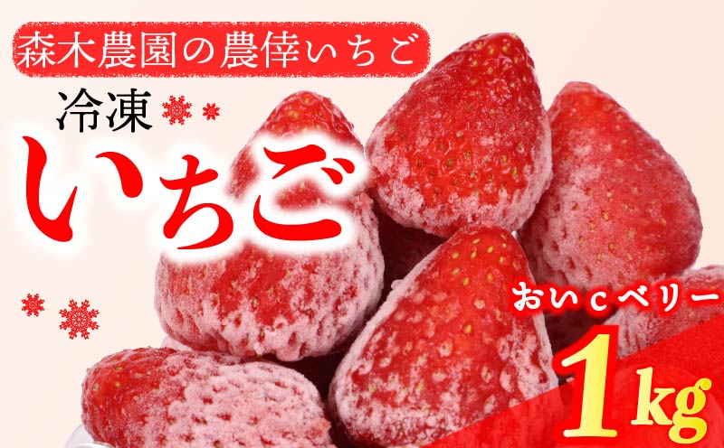 冷凍 いちご 苺 1kg以上 完熟 おいCベリー ヘタ取り いちご 静岡 限定 苺 冷凍いちご 果物 スイーツ いちご 牧之原市 デザート フルーツ スイーツ アイス ジャム シャーベット ベリー 氷菓 冷凍 甘い オススメ ギフト 人気 牧之原市 森木農園