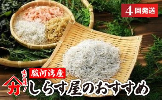 しらす 味が自慢の駿河湾産しらす屋のおすすめ 4回 発送 定期便 しょうゆ しらす 干し 釜揚げ 料理 丼 チャーハン パスタ うどん ごはん おかず おすすめ 新鮮 海 海鮮 静岡県 牧之原市 ヤマカ藤田商店