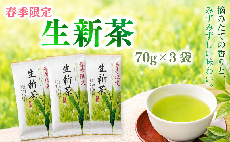 2026年度産 新茶 生新茶70g×3袋 お茶 静岡 新茶 濃旨 緑茶 深蒸し茶 深蒸し 茶 水出し緑茶 水出し 静岡茶 日本茶 飲料 飲み物 ドリンク 深むし茶 煎茶 セット お茶 茶 深蒸し 煎茶 旬 日常 牧之原産 甘い コク 便利 簡単 お手軽 茶葉 静岡茶 牧之原茶 プレゼント 贈答 贈答品 贈り物 産地直送 国産 日本 人気 静岡 県 牧之原市 相良物産