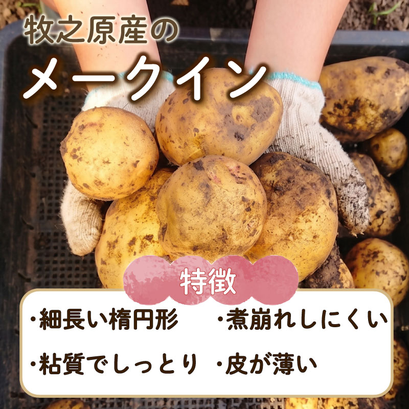 【先行予約 2027年3月順次発送 国産 じゃがいも】掘りたてメークイン 4kg  新じゃが  丸新柴本製茶 静岡 県 牧之原市