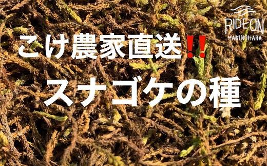 123-6 こけ専門農家直送!!スナゴケの種10L