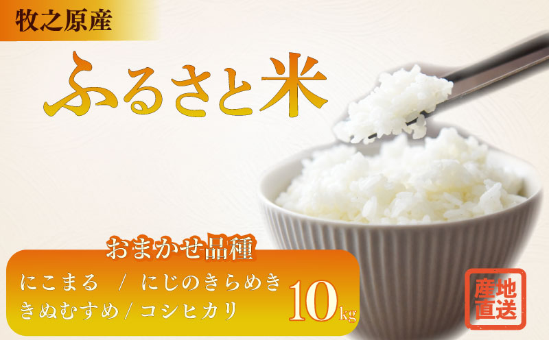 縺顔アウ 10kg 蜩∫ィョ 縺翫∪縺九○ 縲 縺ォ縺薙∪繧 縺ォ縺倥ョ縺阪i繧√″ 縺阪〓繧縺吶a 繧ウ繧キ繝偵き繝ェ 縲 縺顔アウ 邀ウ 逋ス邀ウ 縺翫%繧 邀ウ 霎イ螳カ逶エ騾 逕」蝨ー逶エ騾 髱吝イ。逵 迚ァ荵句次 螟ァ蝪壹ヵ繧。繝シ繝