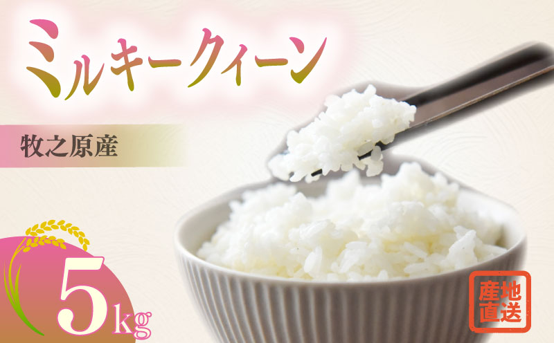 [2025年度産]ミルキークイーン 5kg お米 米 白米 おこめ 米 農家直送 産地直送 静岡県 牧之原 大塚ファーム