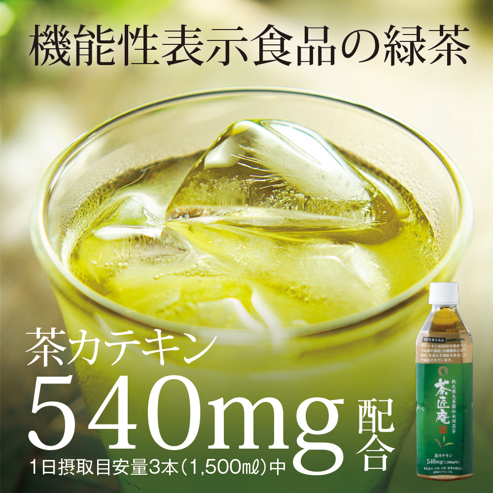 【 機能性表示食品 】 茶匠庵 緑茶ペットボトル 500ml×48本 日付指定不可 静岡県 牧之原市 いなば園