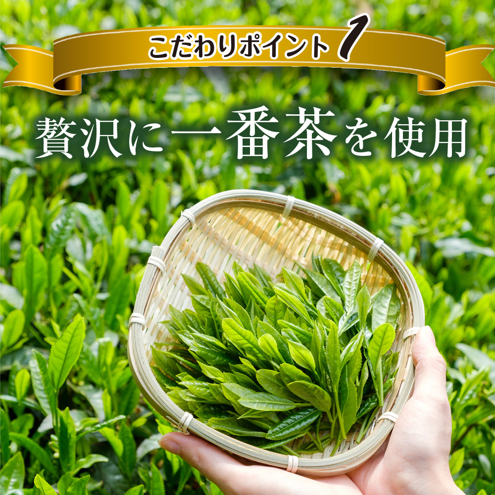 【 機能性表示食品 】 茶匠庵 緑茶ペットボトル 500ml×24本 静岡県 牧之原市 いなば園