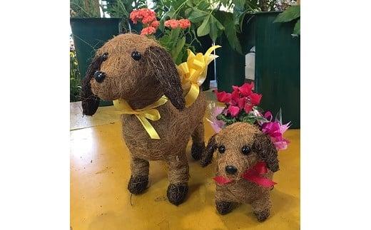 009-1　季節の鉢花　親子の犬ポットでお届け/鉢植え