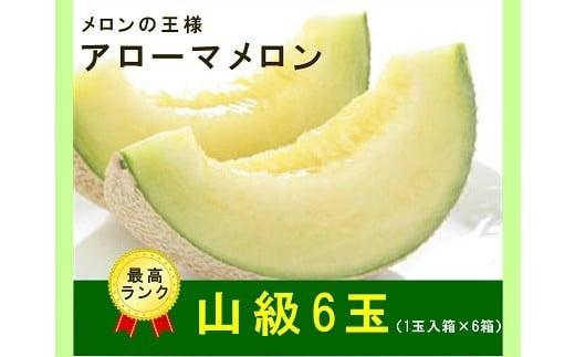 013-22　最高級 温室 アローマメロン 山級 6玉 甘い ギフト贈答に ジューシー メロン