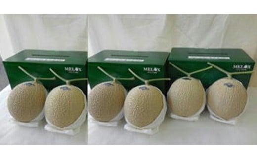 013-16　高級温室静岡県産アローマメロン６玉化粧箱入 高級 アローマ 温室 果汁たっぷり 甘い 温室メロン