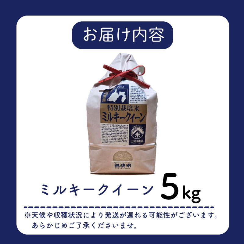 ミルキークイーン 5kg 【特別栽培米】お米 米 白米 みるきーくいーん  農家直送 産地直送 山本耕業 こめ香 静岡県 牧之原市 