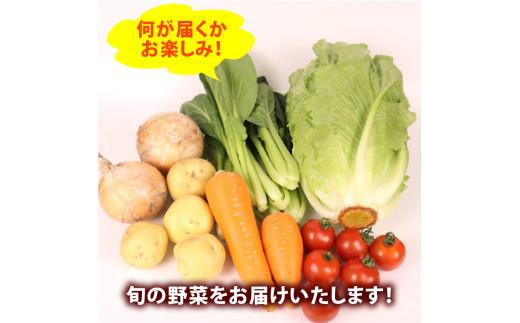 驥手除 繧サ繝繝 6~7蜩∫岼 莉・荳 縺企手除 蟄」遽 驥手除 譌ャ 譁ー魄ョ 逕」蝨ー逶エ騾 隧ー繧∝粋繧上○ 繧縺輔> 縺翫>縺励> 閾ェ辟カ 繧サ繝繝 鄒主袖縺励> 縺溘▲縺キ繧 荳ク譁ー譟エ譛ャ陬ス闌カ 髱吝イ。逵 迚ァ荵句次蟶