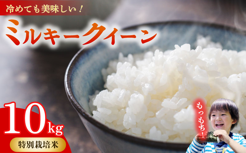 ミルキークイーン 10kg 無洗米 【特別栽培米】お米 米 白米 みるきーくいーん  農家直送 産地直送 山本耕業 こめ香 静岡県 牧之原市