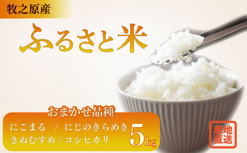 お米 5kg 品種 おまかせ [ にこまる にじのきらめき きぬむすめ コシヒカリ ] お米 米 白米 おこめ 米 農家直送 産地直送 静岡県 牧之原 大塚ファーム