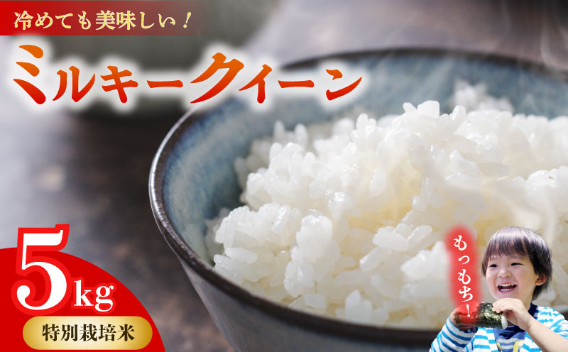 ミルキークイーン 5kg 【特別栽培米】お米 米 白米 みるきーくいーん  農家直送 産地直送 山本耕業 こめ香 静岡県 牧之原市 