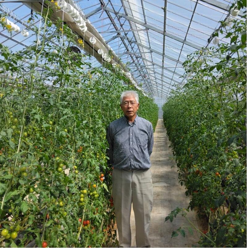 【先行予約】ミニ トマト フルーツ トマト ラブリーさくら うまたま 予約 受付 1kg × 3回 発送 計 3kg 国産 野菜 フルーツ 甘い 静岡県 牧之原市 山本農園