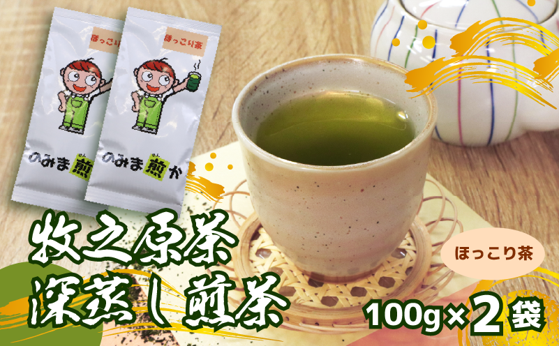 [2026年度産新茶]深蒸し煎茶 100 g × 2袋 のみま煎か ほっこり茶 深蒸し 茶 お茶 茶葉 産地直送 国産 静岡県 牧之原市 あっくん
