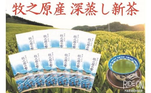 098-5 【5月より新茶出荷】 牧之原産 おいしい 新茶 11本 セット お茶 茶 深蒸し 煎茶 旬 日常 のし 熨斗 贈答 ギフト 静岡県 牧之原市 澤田行平商店