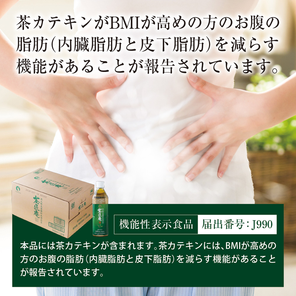 【 機能性表示食品 】 茶匠庵 緑茶ペットボトル 500ml×48本 日付指定不可 静岡県 牧之原市 いなば園