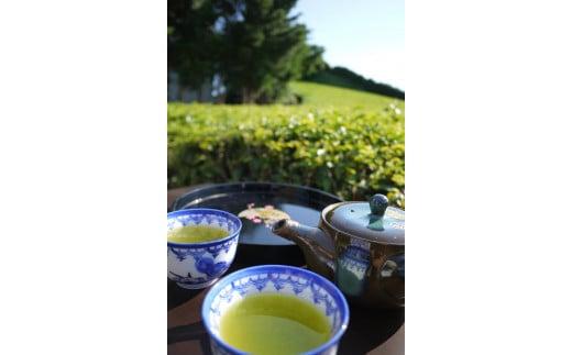 098-11 【令和7年5月より新茶出荷】 牧之原産 深蒸し 煎茶 「赤富士」７本 セット お茶 茶 深蒸し 煎茶 旬 日常 のし 熨斗 贈答 ギフト 静岡県 牧之原市 澤田行平商店
