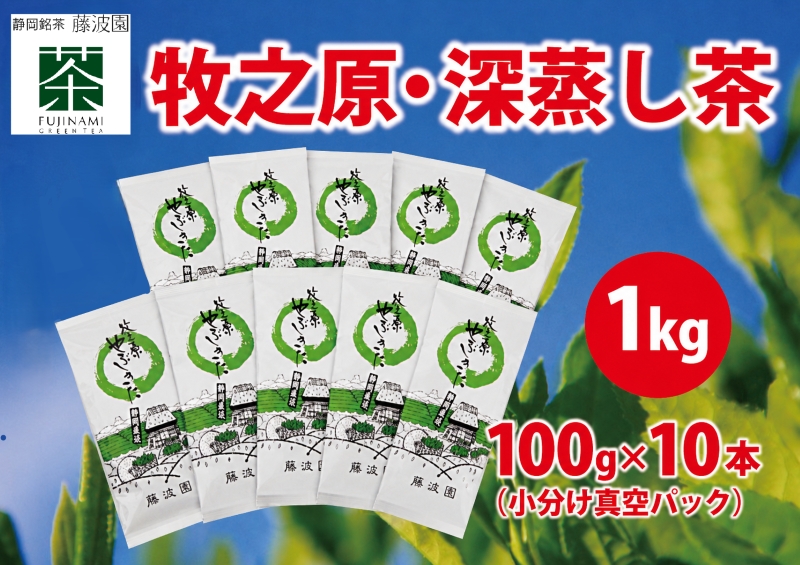 085-3 牧之原・深蒸し茶1kg (100ｇ×10本) 日用品 簡単 日常 便利 お手軽  藤波園 静岡県 牧之原市