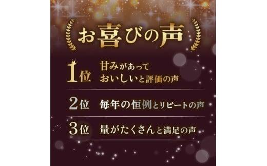 036-1 遠州産 干し芋 160g 8袋 セット 紅はるか いずみ 使用 平干し 丸干し ほしいも 1kg 以上 おかし 和菓子 さつまいも 国産 スイーツ のし対応可